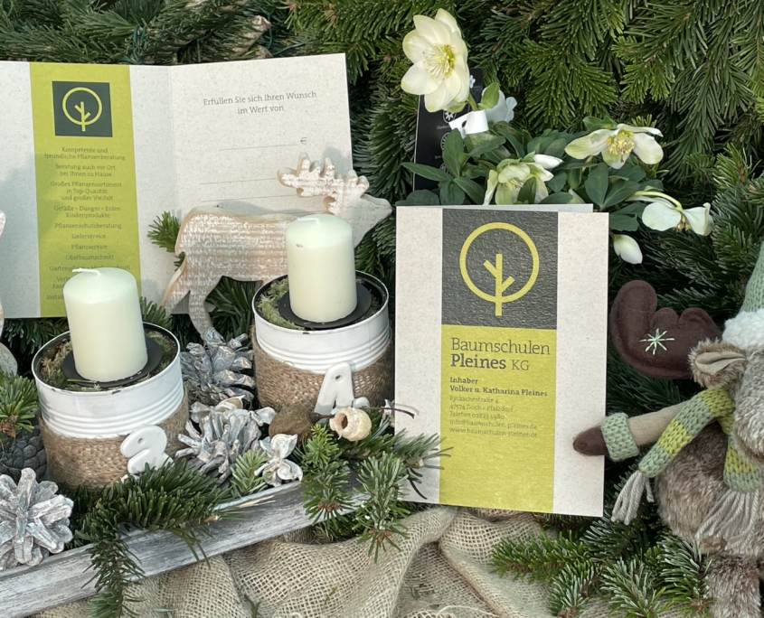 Gutscheine zu Weihnachten