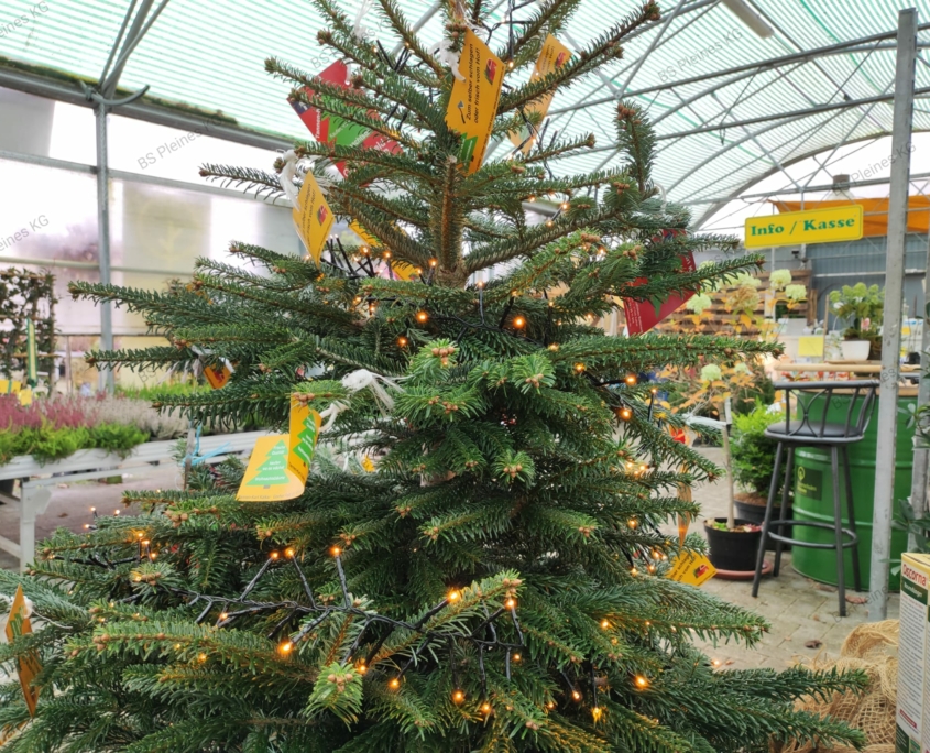 Weihnachtsbaumbeispiel