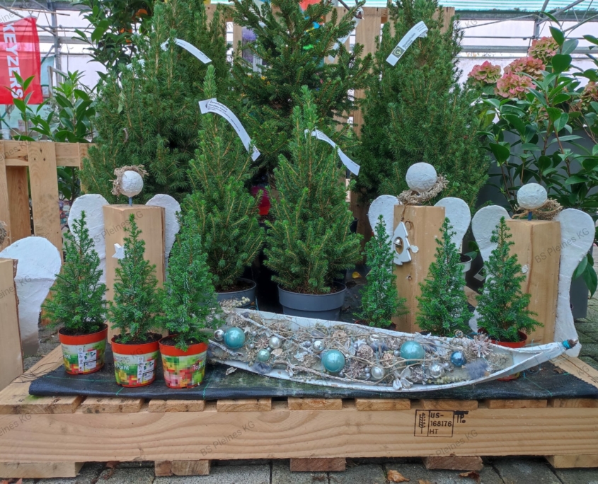 Auf für den kleinsten Raum findet sich ein Weihnachtsbaum.